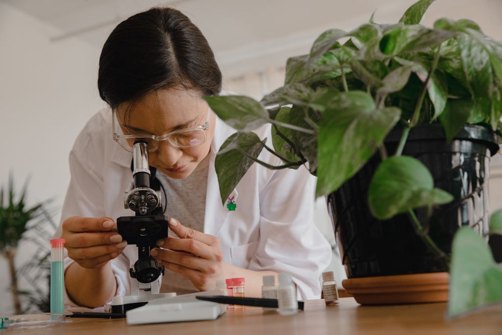 A scientist studies plant biology using a microscope in a lab setting.